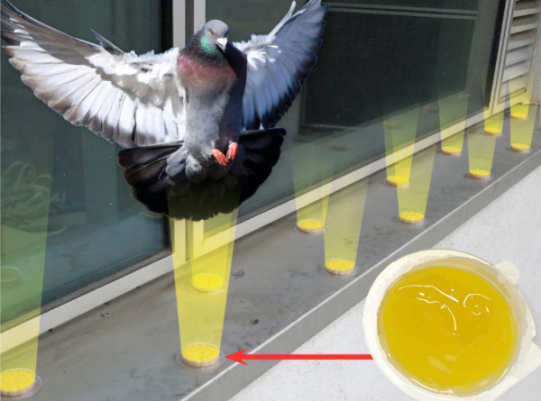 Bird Free Optical Gel - Image 8